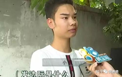 娱乐圈吃瓜动态表情包,表情包带你领略吃瓜盛宴