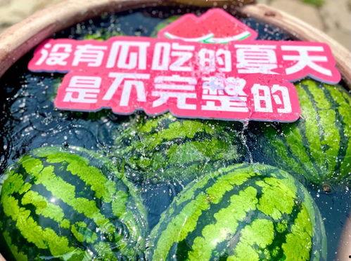 吃瓜现场是什么意思,网络热议背后的真相与反思